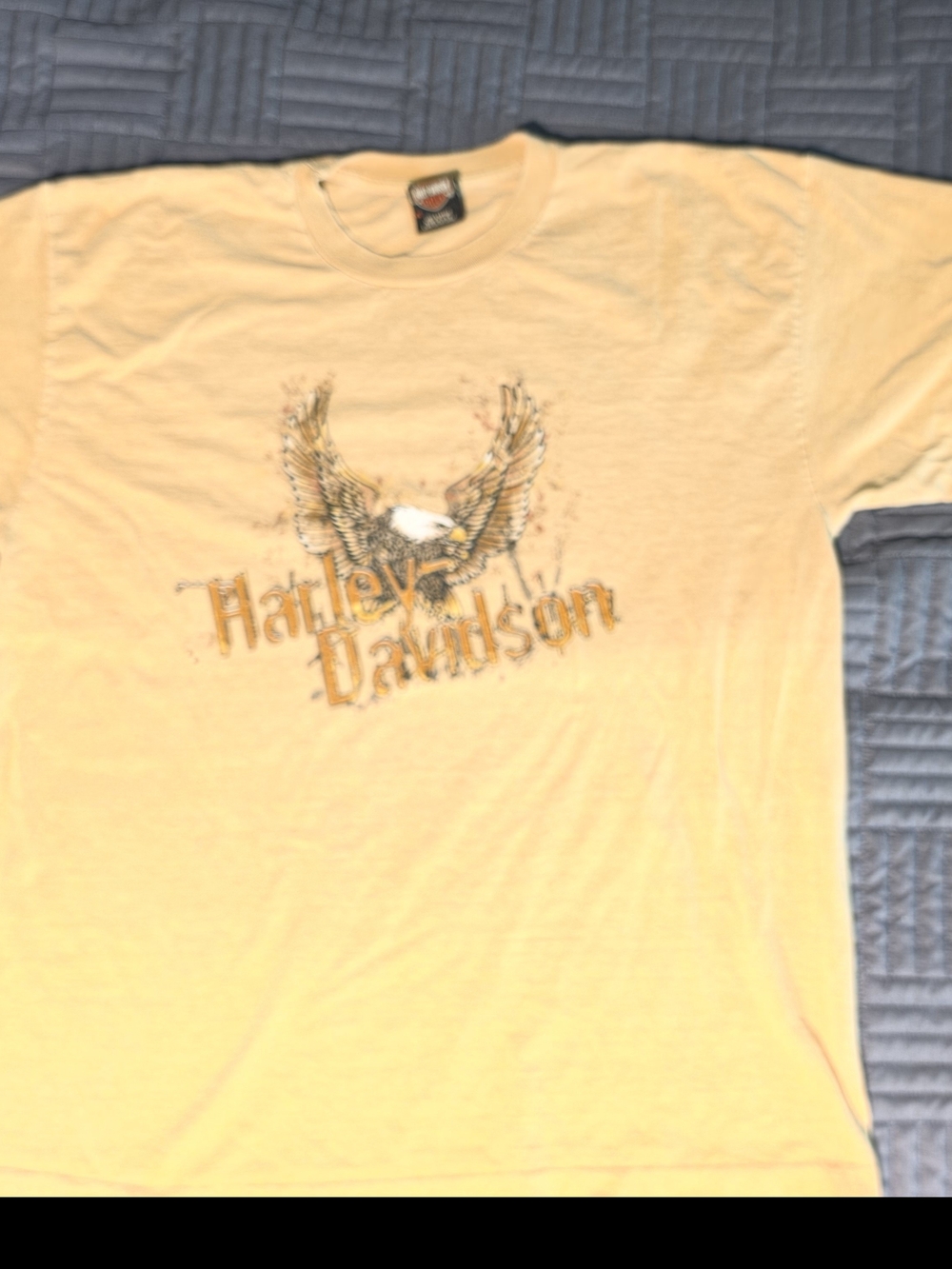 Harley-Davidson Men's Yellow Eagle Graphic T-Shirt